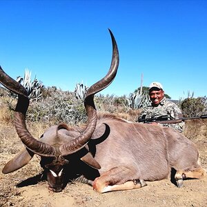 Kudu Hunt South Africa