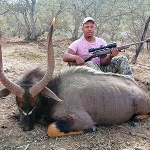 Hunting Nyala in South Africa