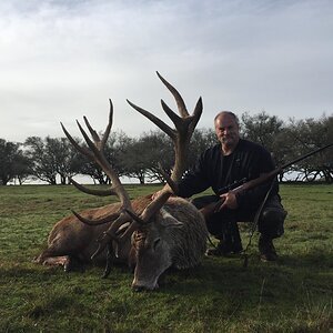 Red Stag Hunt Argentina