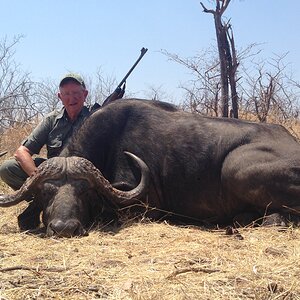 Zimbabwe Hunting Buffalo