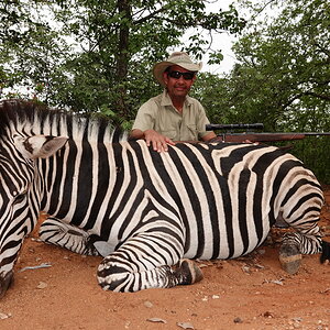 South Africa Hunt Burchell's Plain Zebra