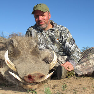 Warthog Hunting South Africa