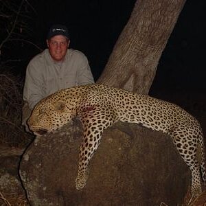 Hunt Leopard in Zimbabwe