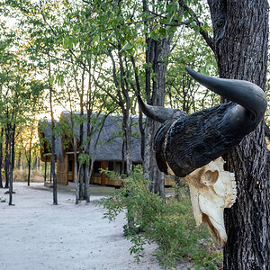 Caprivi Namibia Hunting Lodge