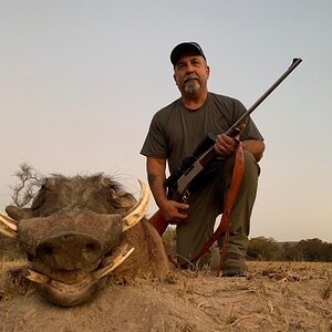 Hunting Warthog in South Africa