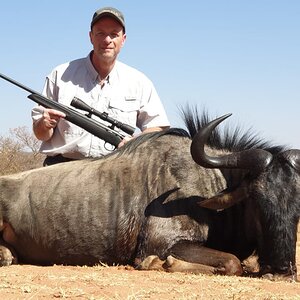 South Africa Hunt Blue Wildebeest