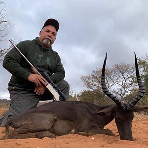 Black Impala Hunt South Africa