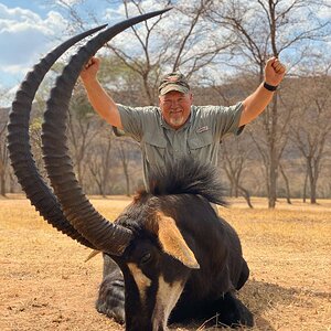 Sable Hunting South Africa