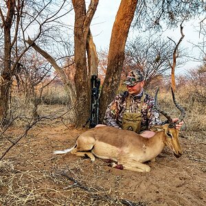 Southern Impala “Aepyceros Melampus” Bowhunting South Africa