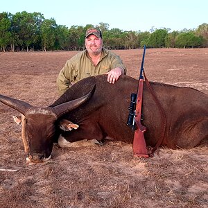 Banteng Hunt Australia