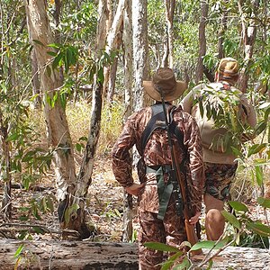 Banteng Hunt Australia