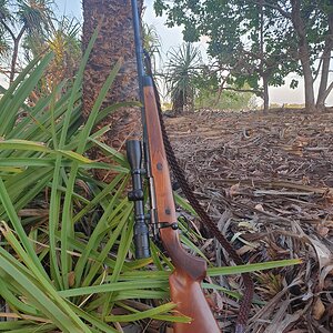 Sako AV 375 H&H Rifle