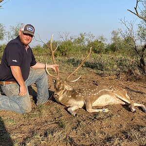 Texas USA Hunting Axis Deer