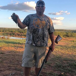 Dove Hunt Texas USA