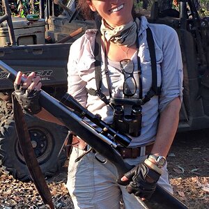 Australia Hunting Asiatic Water Buffalo