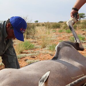 Conservation with HartzView Hunting Safaris