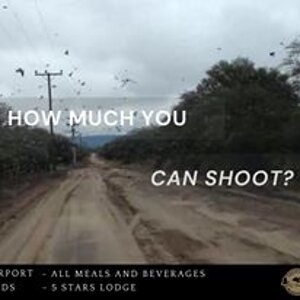 Doves & Pigeon Hunting with MG Hunting Argentina