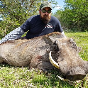 South Africa Hunt Warthog