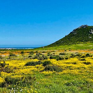 West Coast and Namaqualand Tour South Africa