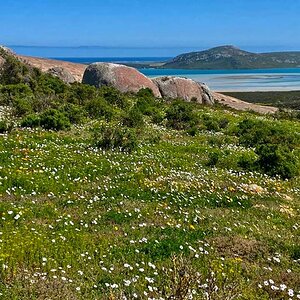 West Coast and Namaqualand Tour South Africa