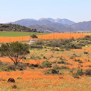 West Coast and Namaqualand Tour South Africa