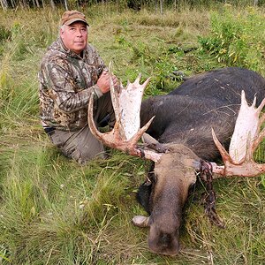 Moose Hunting British Columbia Canada