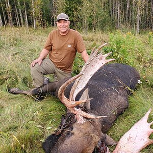 British Columbia Canada Hunting Moose