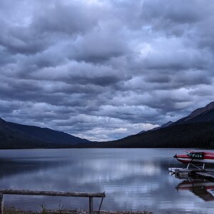 Canada Northern British Columbia Goat & Moose Hunt