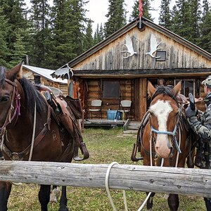 Canada Northern British Columbia Goat & Moose Hunt