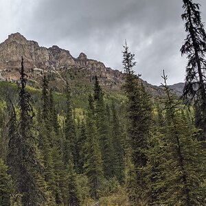 Canada Northern British Columbia Goat & Moose Hunt