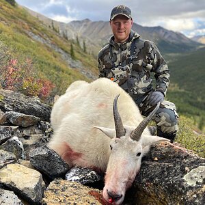 Hunting Mountain Goat in Northern British Columbia Canada