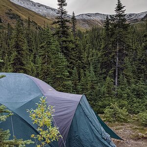 Canada Northern British Columbia Goat & Moose Hunt