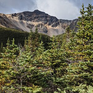 Canada Northern British Columbia Goat & Moose Hunt