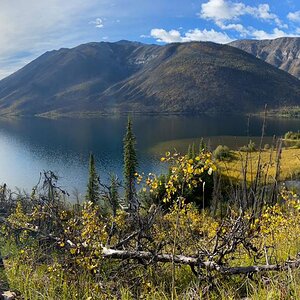 Canada Northern British Columbia Goat & Moose Hunt