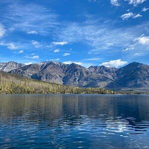 Canada Northern British Columbia Goat & Moose Hunt