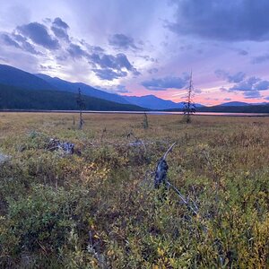 Canada Northern British Columbia Goat & Moose Hunt