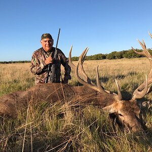 Red Stag Hunting Argentina