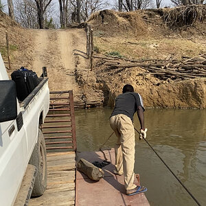 Zambia Hunt