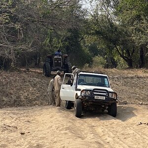 Hunting Zambia