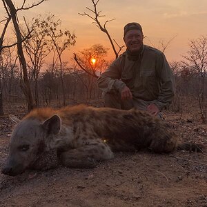 Hunting Spotted Hyena in Tanzania