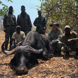 Tanzania Hunting Buffalo