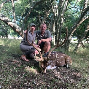 Argentina Hunt Axis Deer