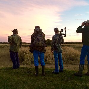 Glassing Game & Bow Hunting Argentina