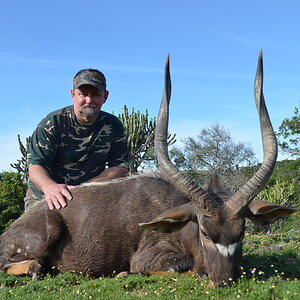 Hunt Nyala in South Africa