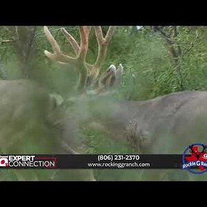 The Rockin G Ranch - Texas Hunting Done Right