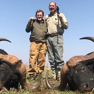 Buffalo Hunting South Africa