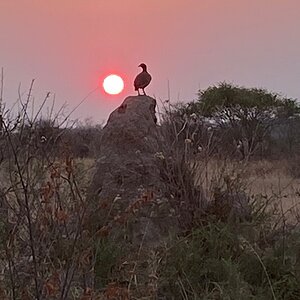 Sunset in Namibia