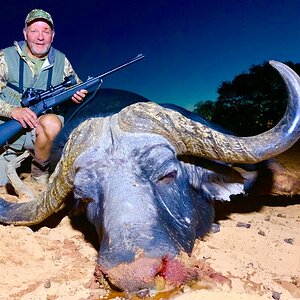 Buffalo Hunting Namibia