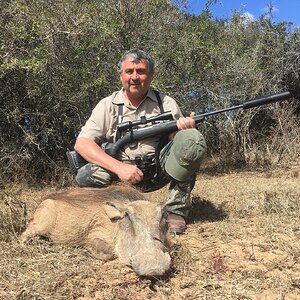 Warthog Hunting South Africa