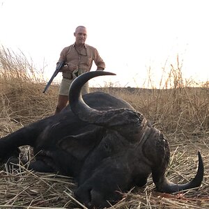 Buffalo Hunting Zimbabwe